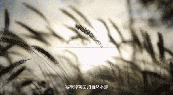 04.gif